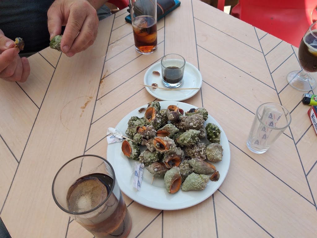 Granja Can Puig — Cafe