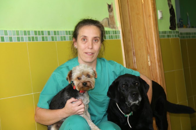 Veterinario Talavera Pio 109 — Perro