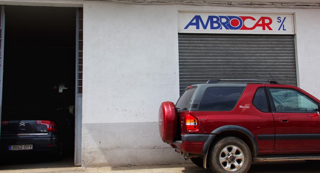 Ambrocar S L