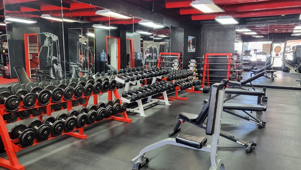  Thunder Fitness San Jose