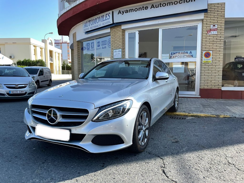 Ayamonte Automocion sl — Del propietario