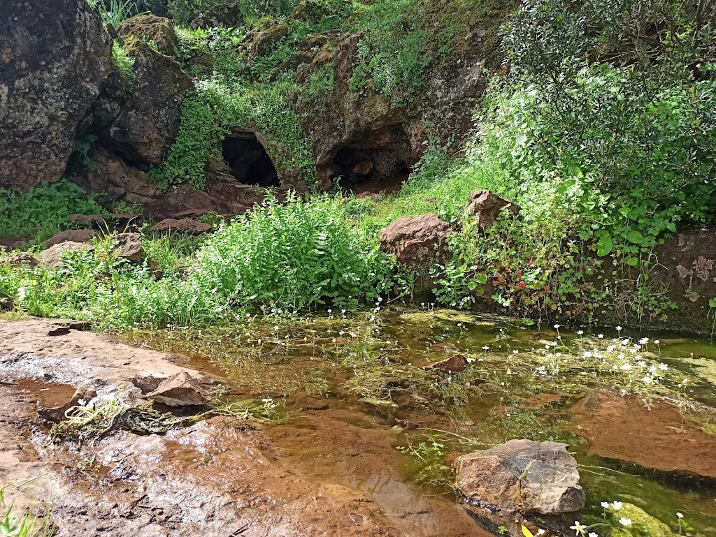 Fuente de "Val do Gral"