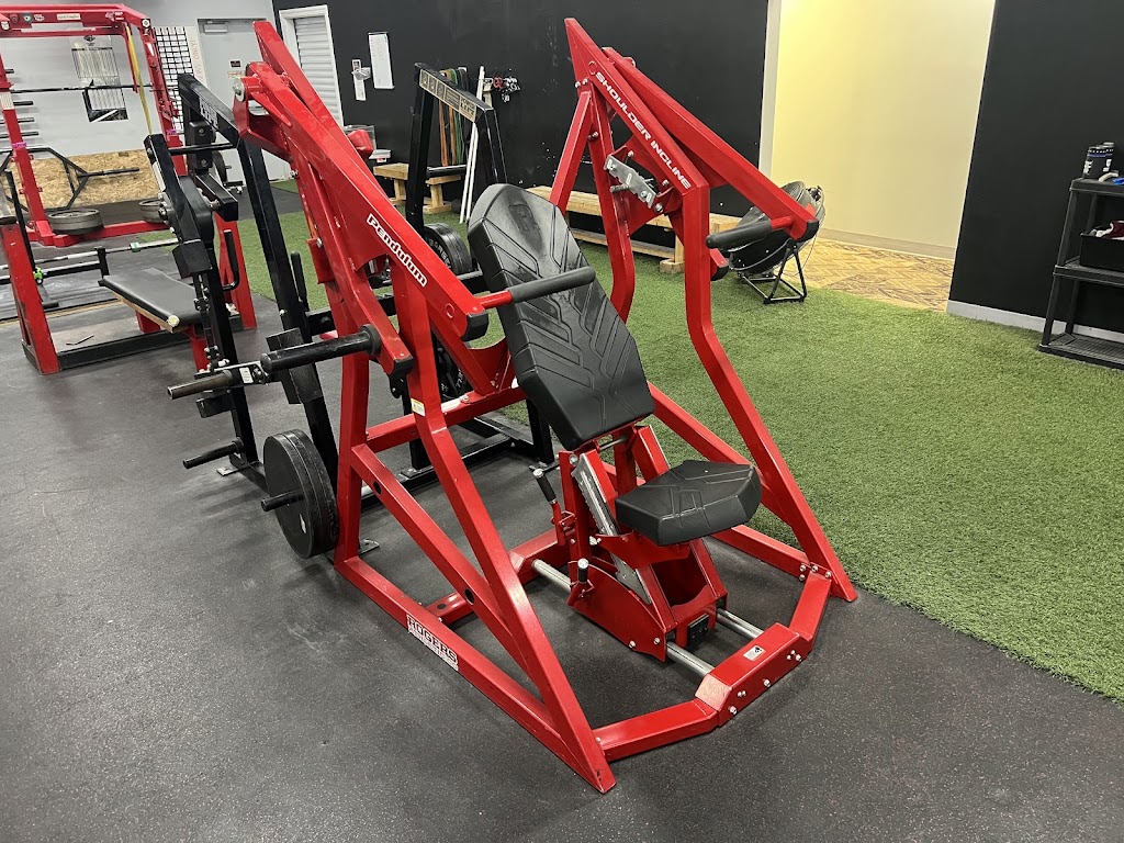  The Gym - Iron Gorilla Barbell