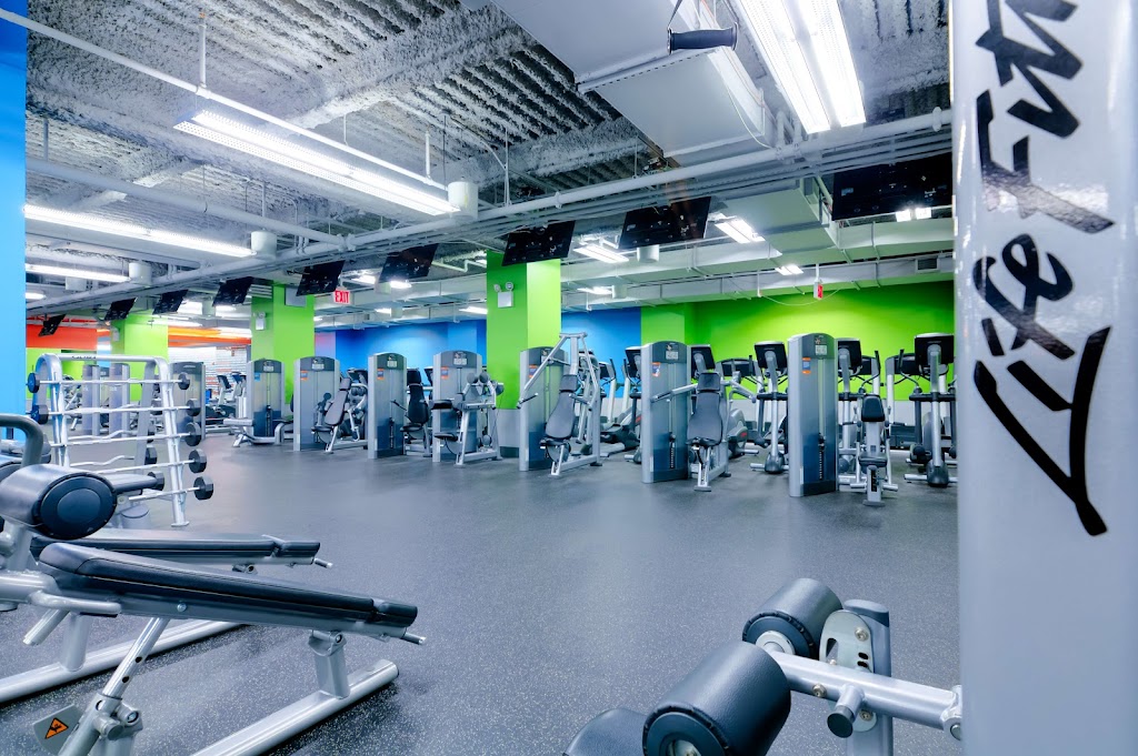  Blink Fitness (PureGym)