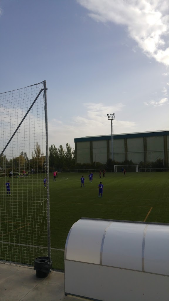 Campo de Futbol Diego Carbajosa