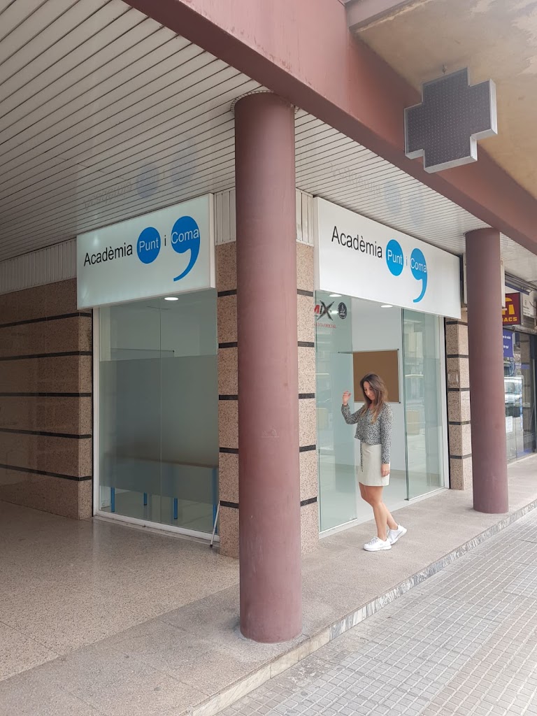 Academia Punt i Coma