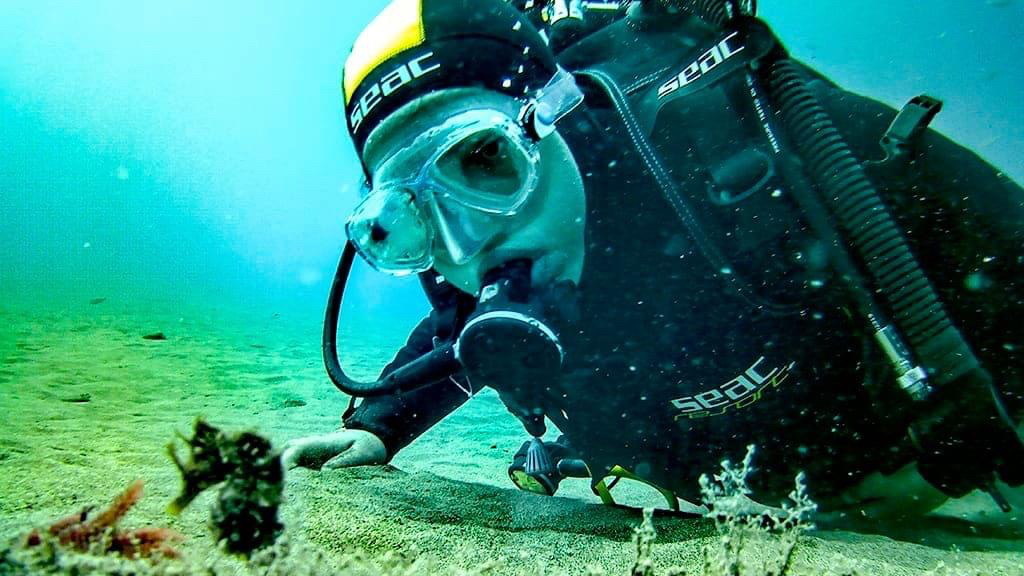 Diwa diving Spain oficial