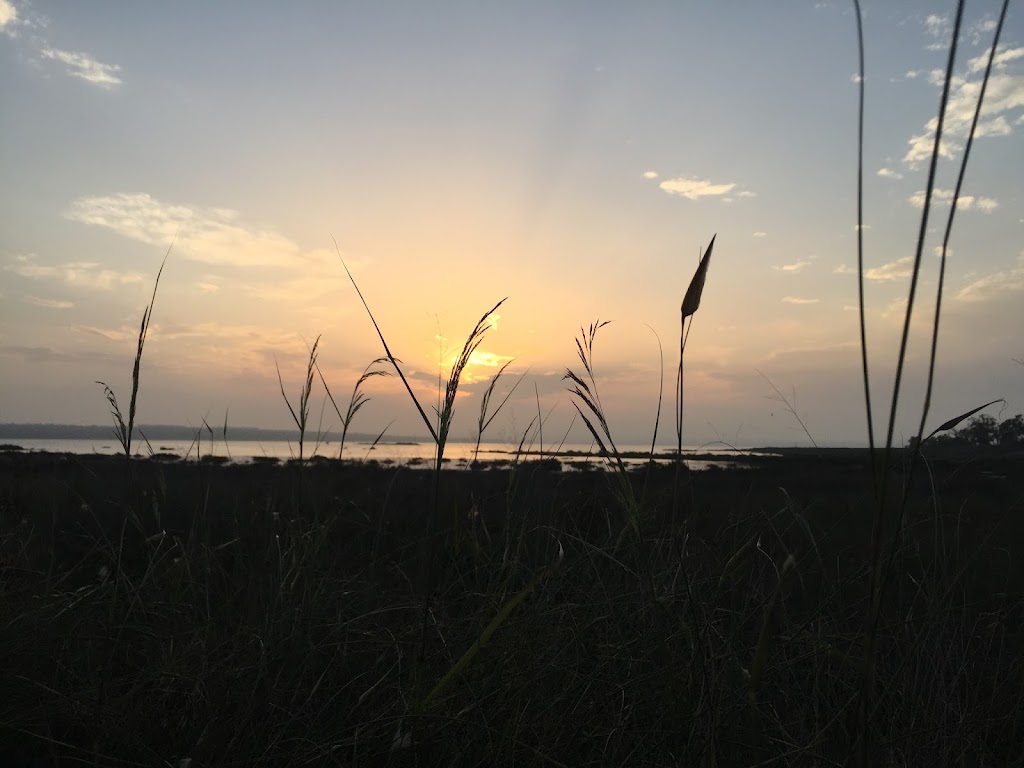 Lola Araez Estetica Avanzada