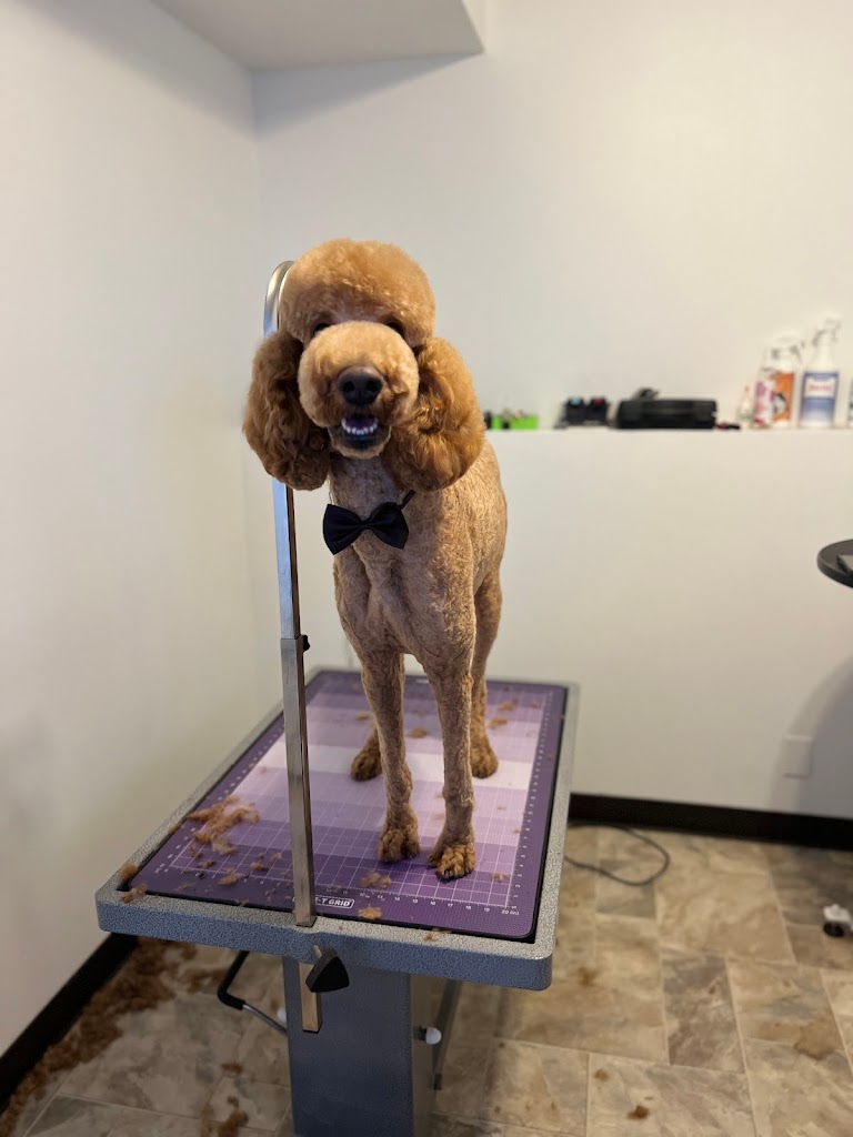Nala's Pet Grooming in Kearns