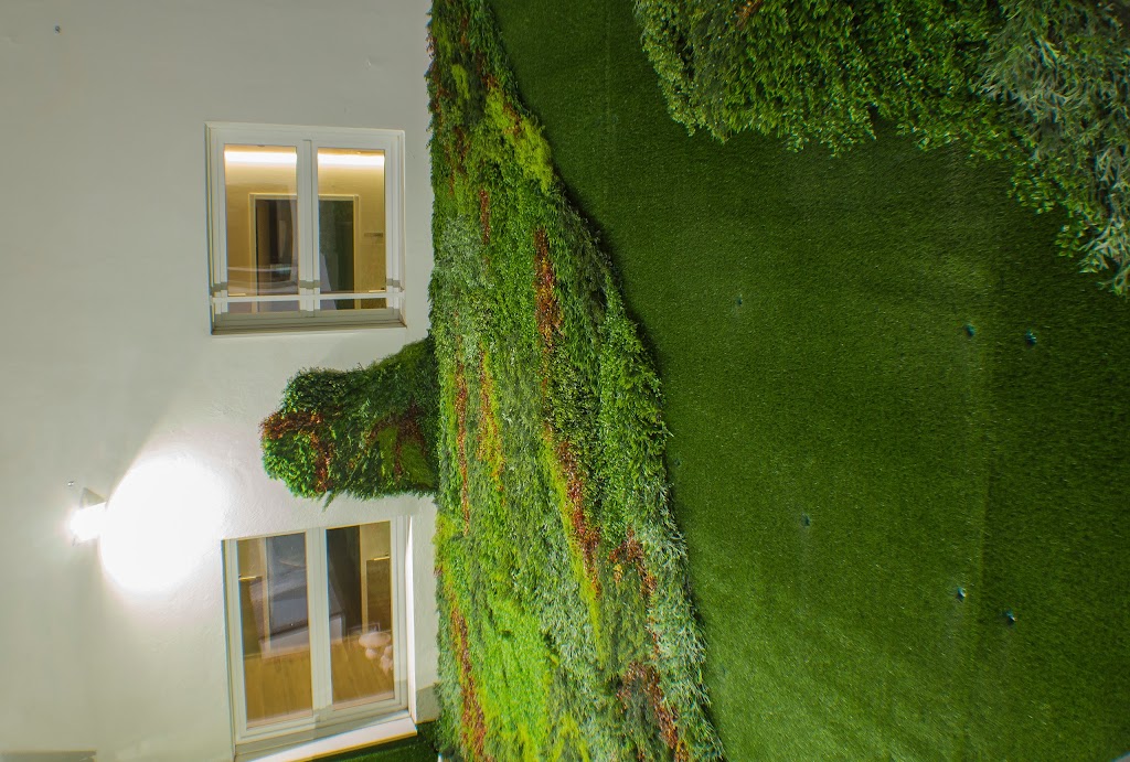Colisee San Antonio | Residencia y Centro de Dia en Bilbao