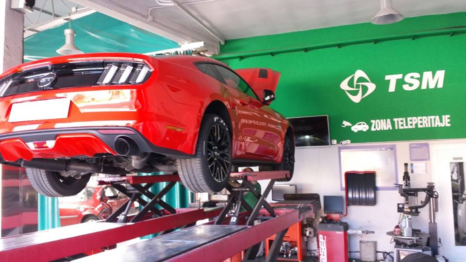 TALLERES EDUARDO CASTINEIRA, GRUPO TSM