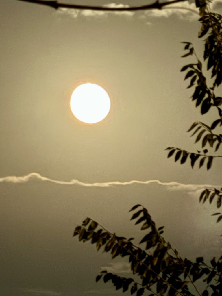 Parque de Las Naciones