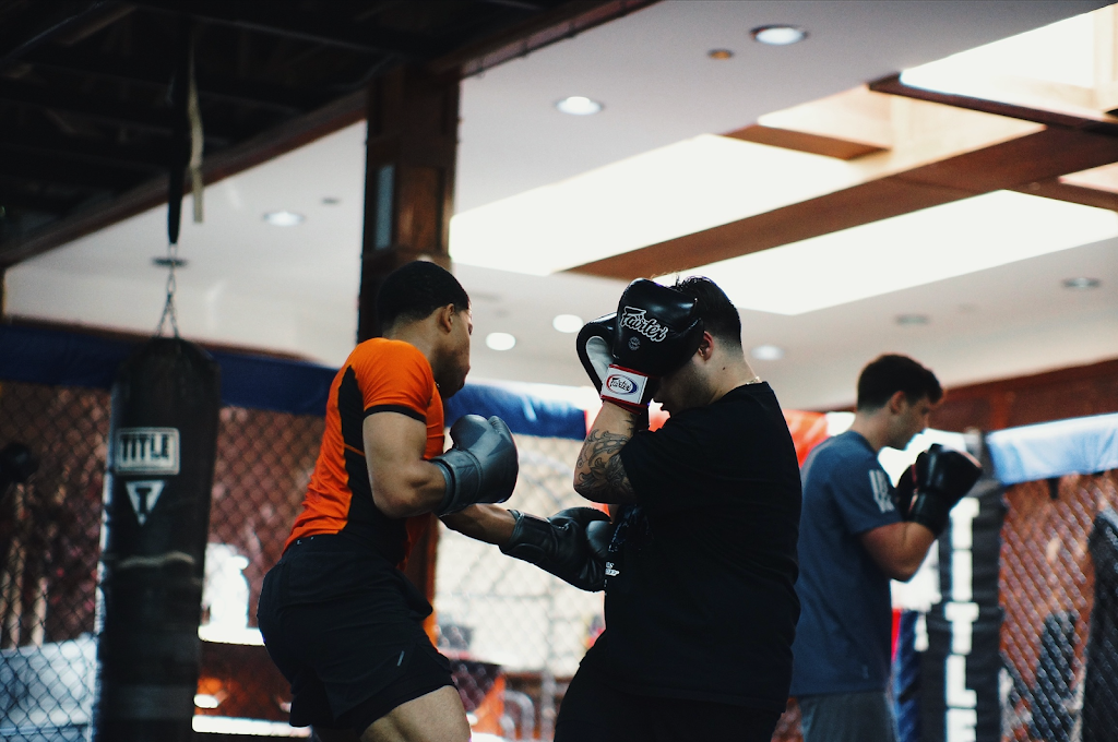  Phoenix Sports Empire Lisle