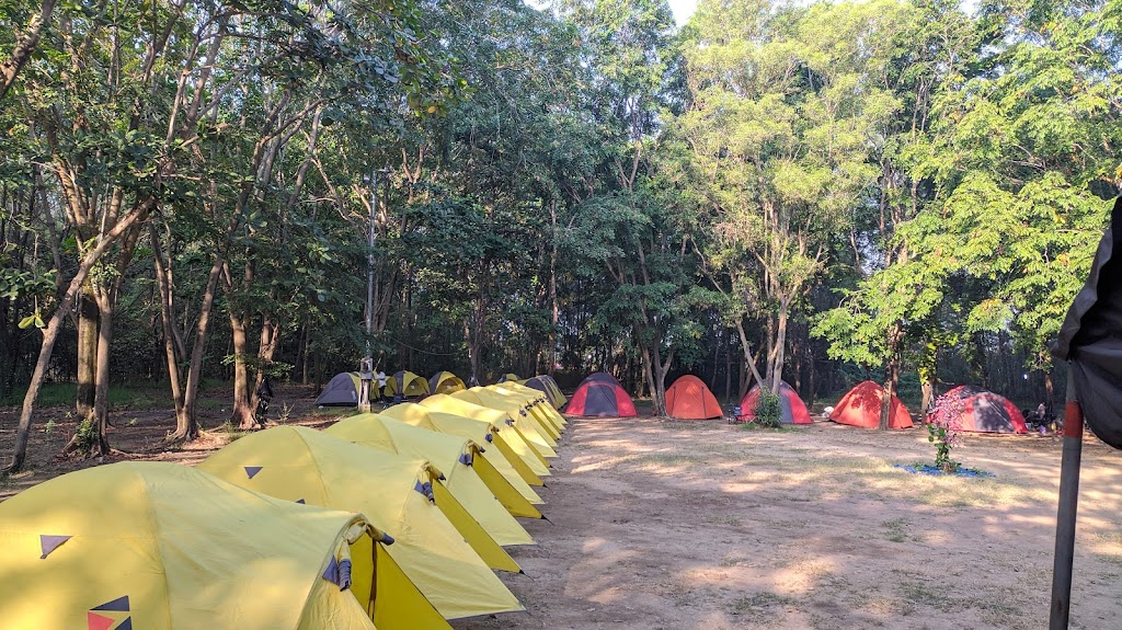 RENTAL TENDA CAMPING TEGAL ADIWERNA MEDHOCK OUTDOOR