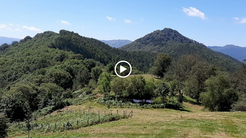 Malbazar.gaina cima