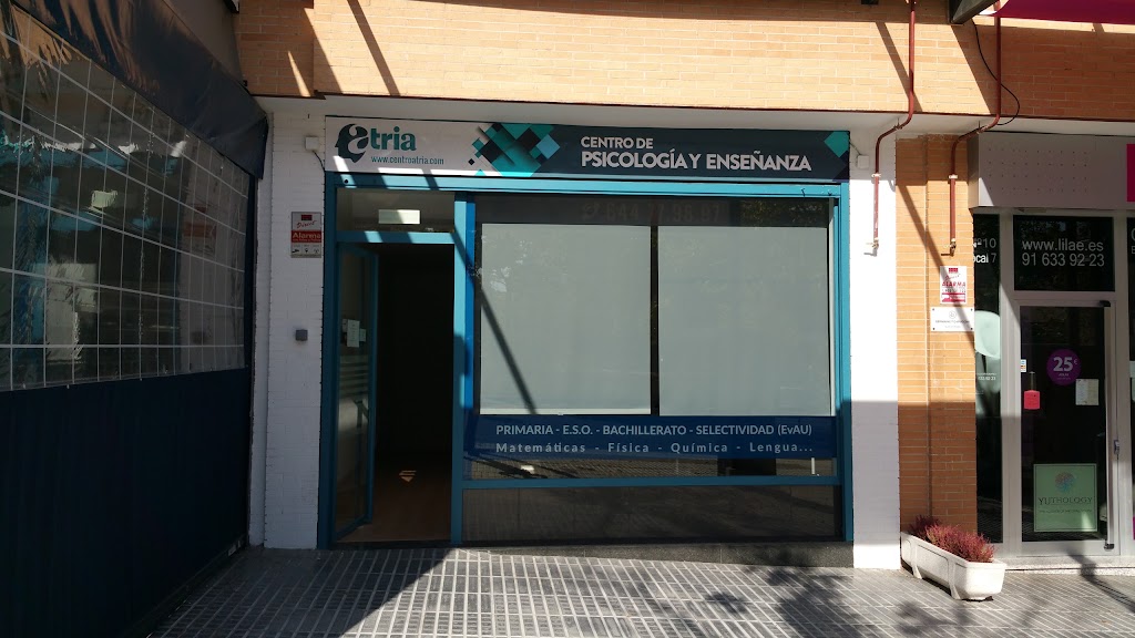 Academia Atria — Del propietario
