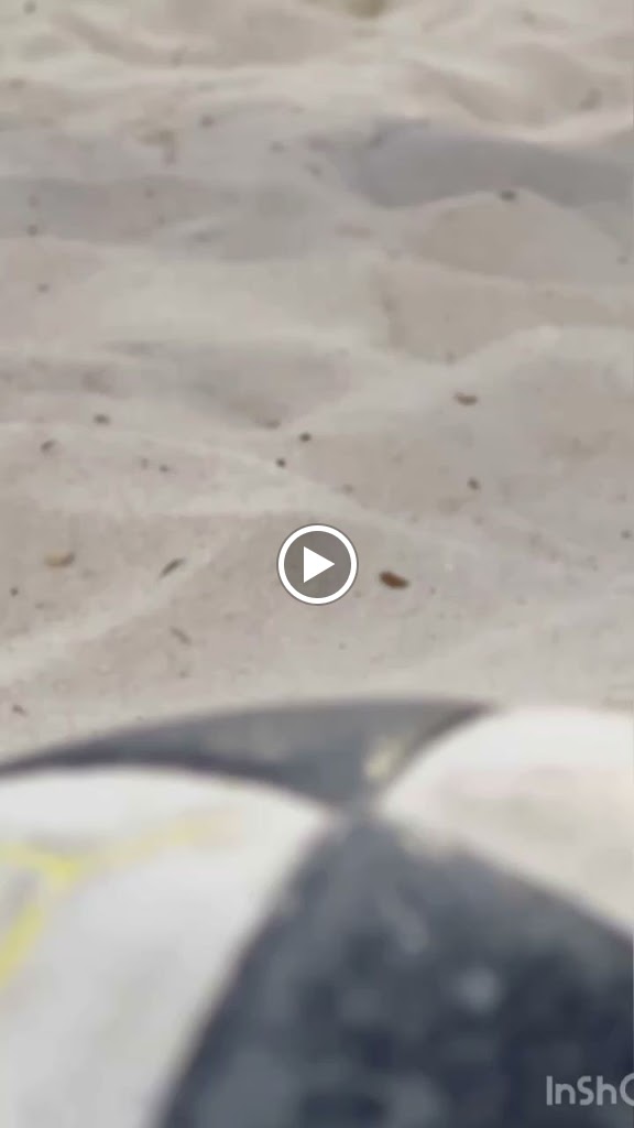  Sand Point Sports & Fitness