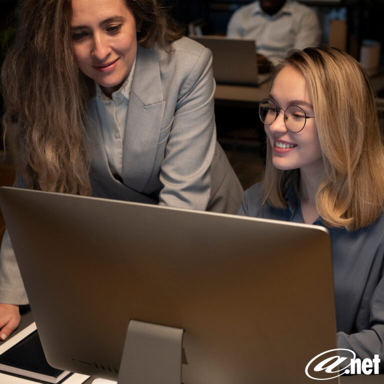 At Net Services Greenville Managed It Services Company