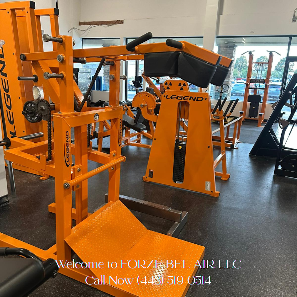  Forze Bel Air XXIV Training Gym