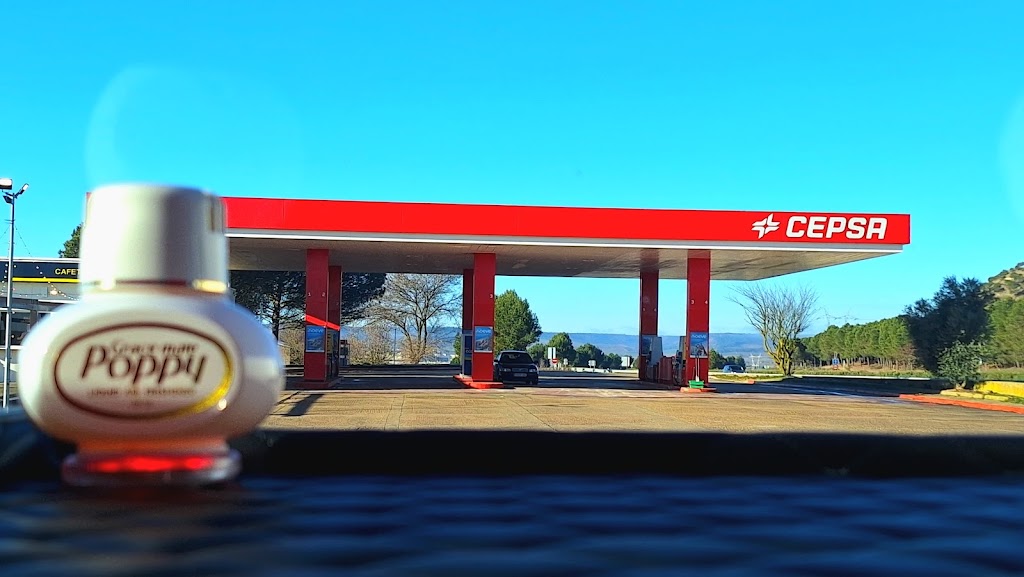 Estacion de servicio Cepsa — Surtidor de combustible