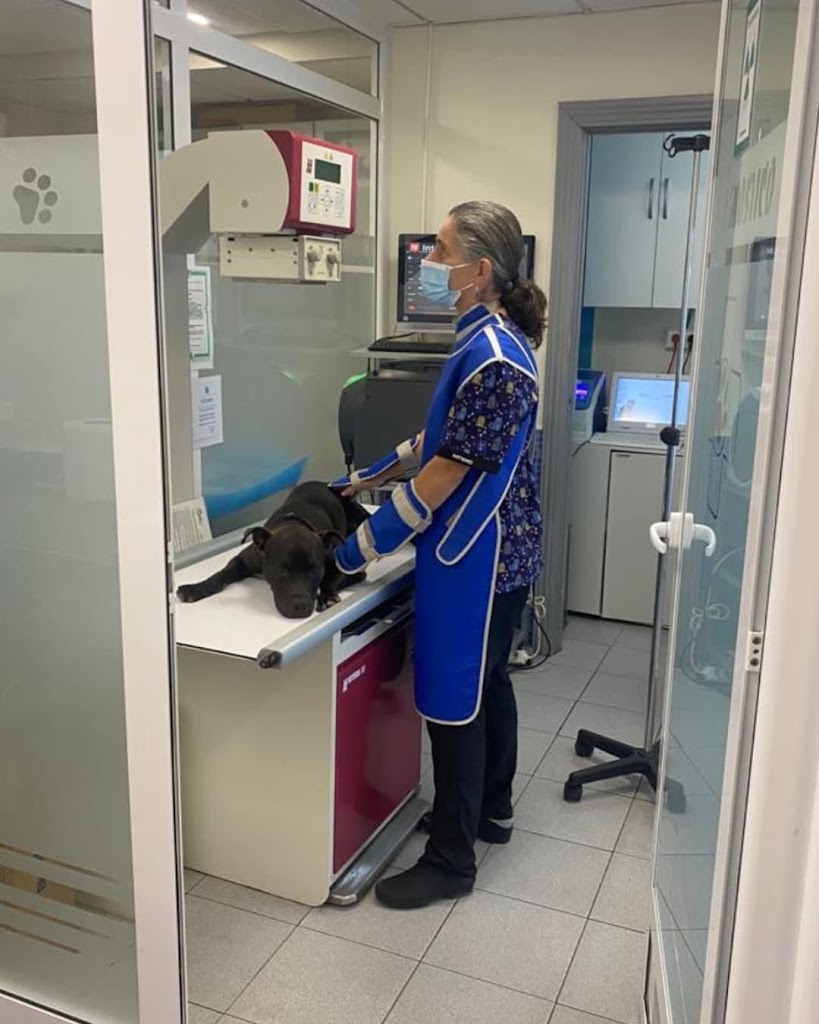 Clinica veterinaria Darwin — Del propietario