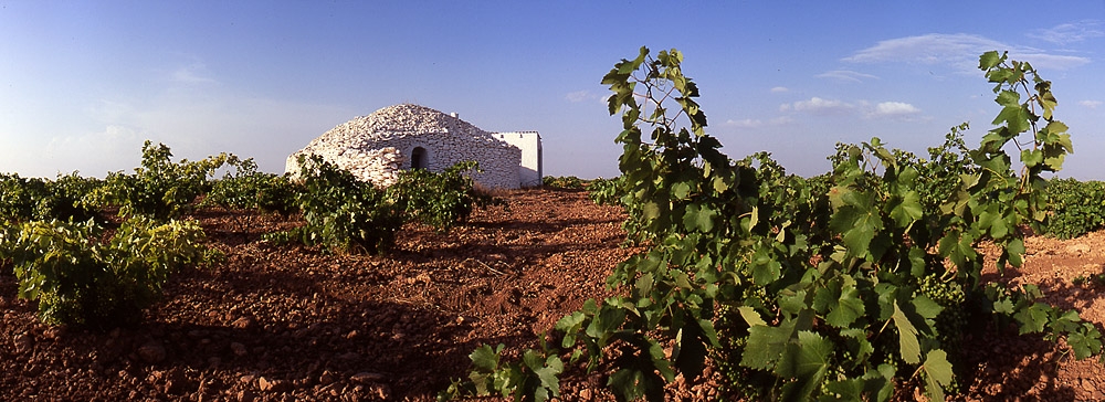 Oficina de Turismo de Tomelloso