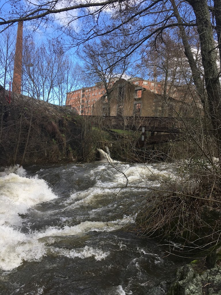 Parque de La Aliseda