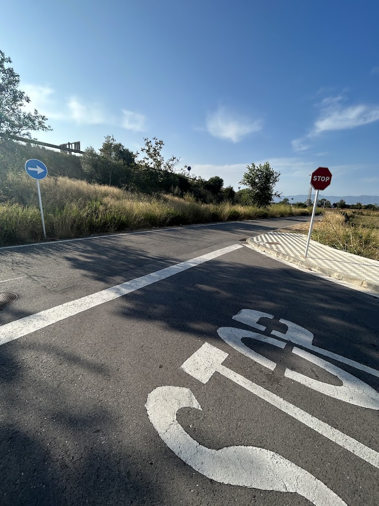 Cami Vell de Vilatenim