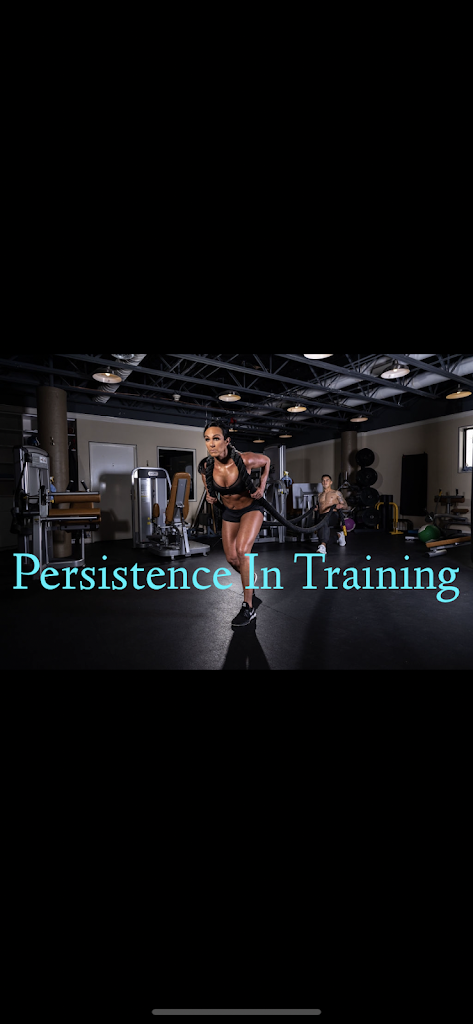  Persistence In Training