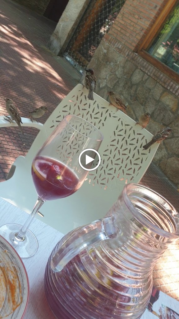 Sacromonte II — Videos