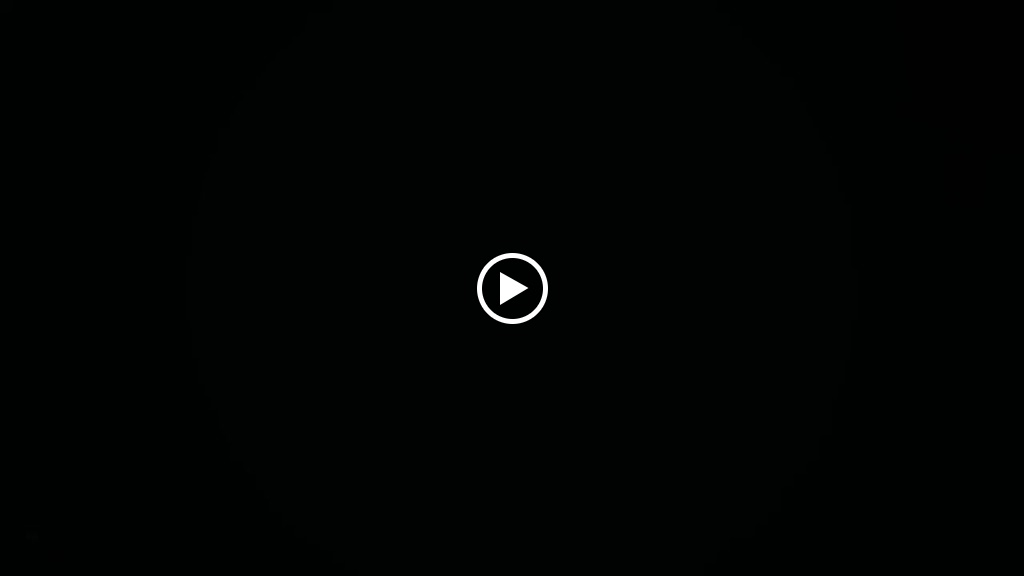  Ironbody Training & Fitness