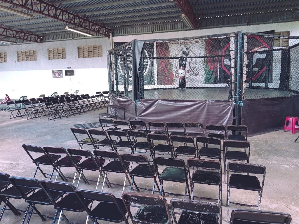 Great North Combat MMA MERIDA — Del propietario