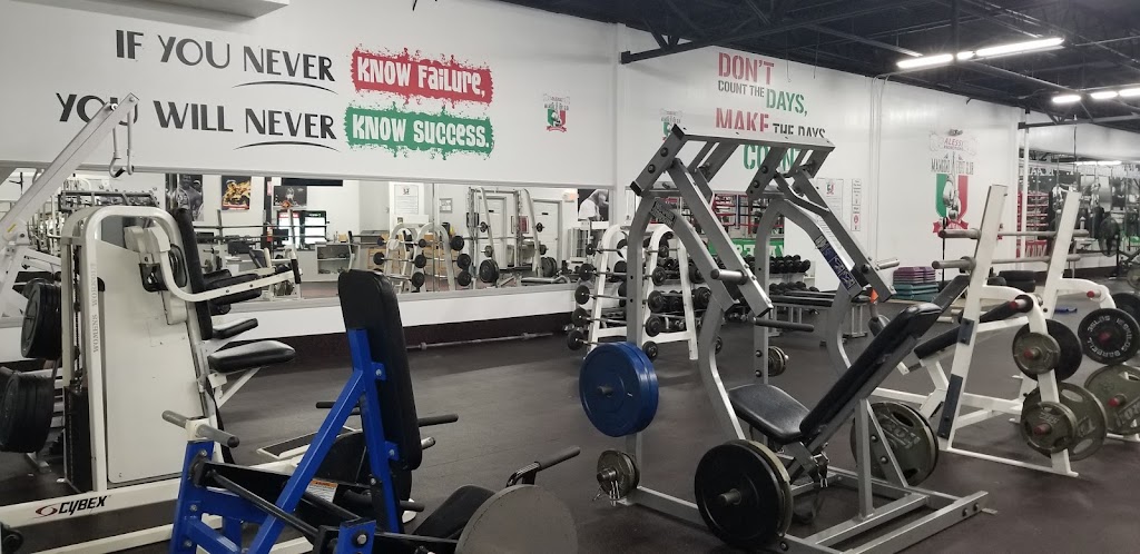  Alessi Ringside Gym & Fitness