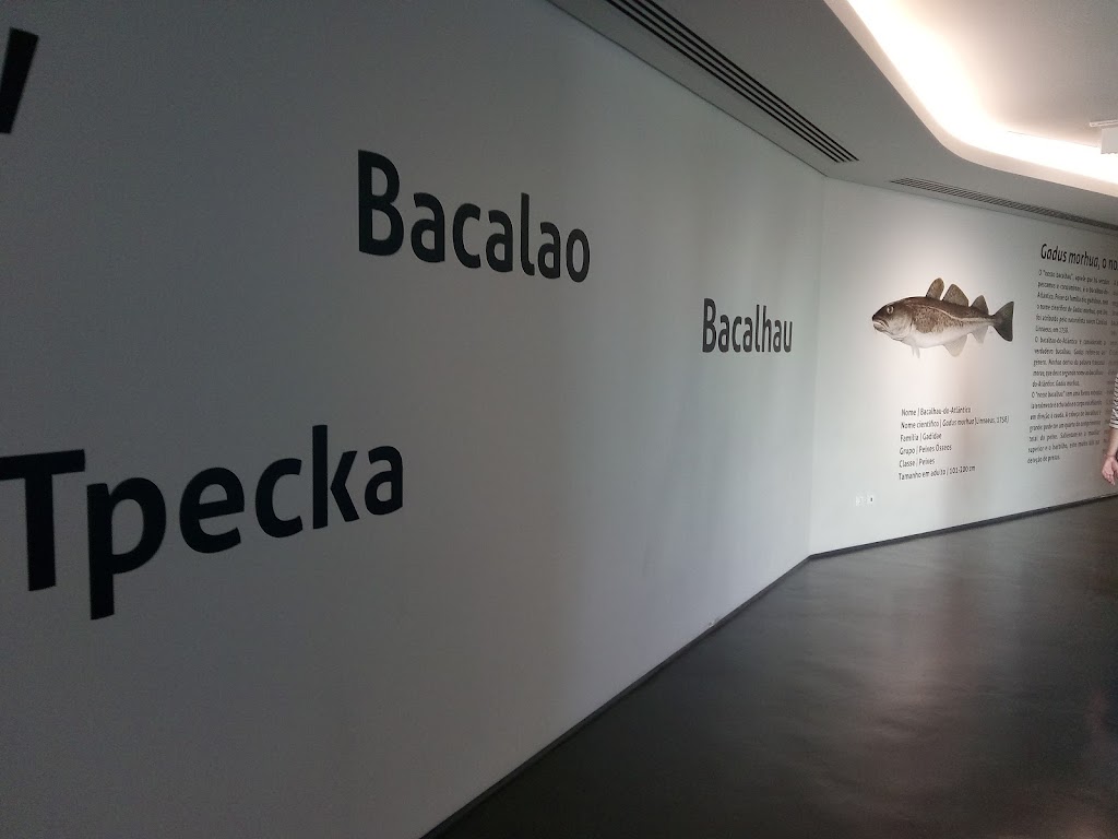 Museu Maritimo de Ilhavo e Aquario dos Bacalhaus