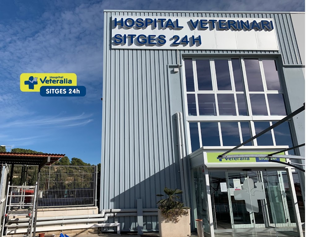 Hospital Veterinari Sitges