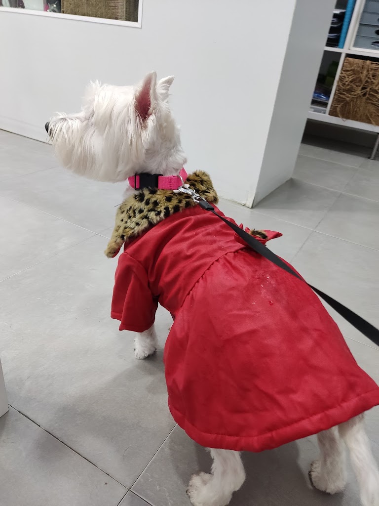 Guadalvet Veterinarios — Del propietario