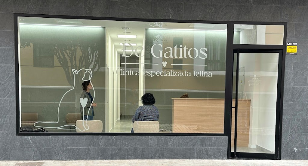 De Gatitos | Clinica Veterinaria Cat Friendly Exclusiva para Gatos en Las Palmas