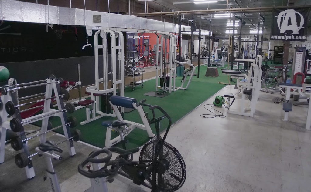  Iron Hawaiian Fitness