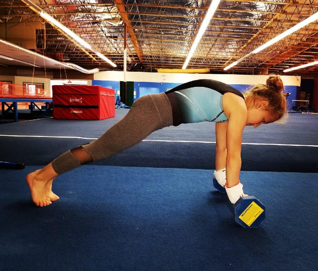  Center for Athletic Training Success (CATS)