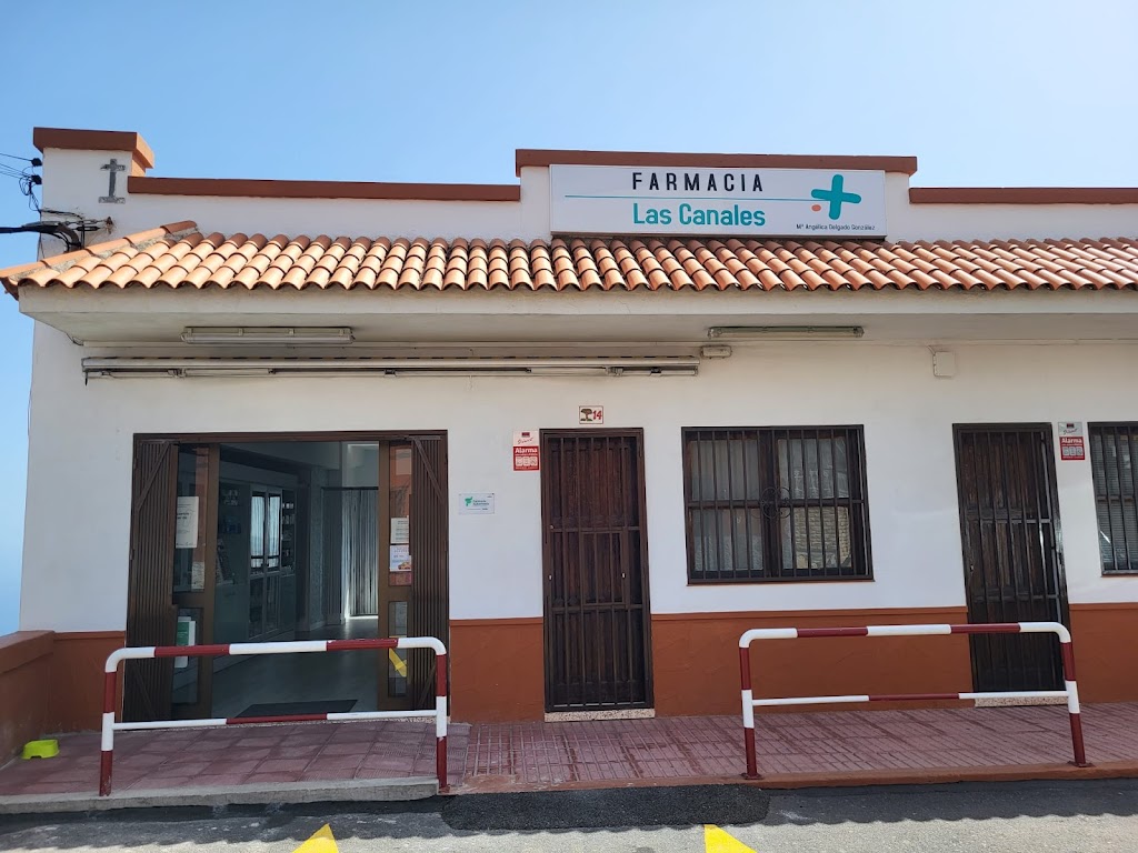 Maria Angelica Delgado Gonzalez