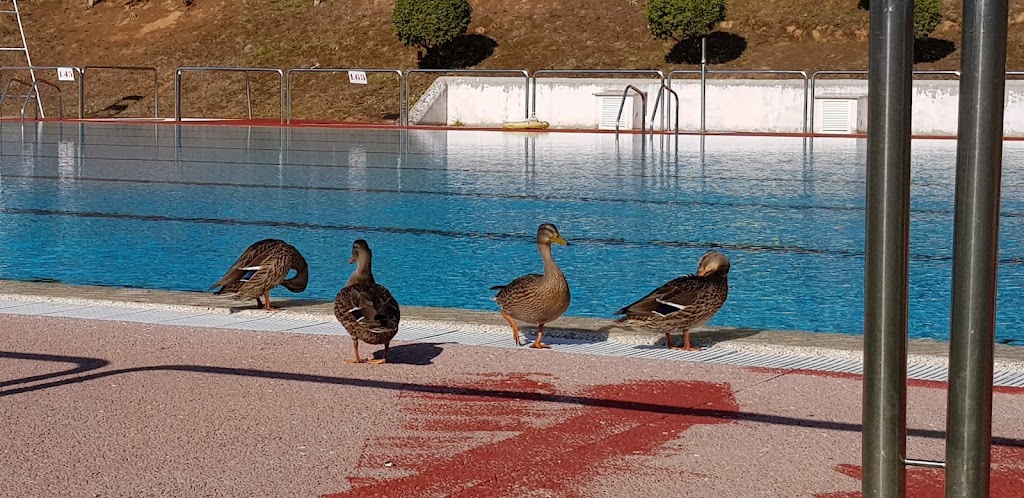 Piscinas Municipales de Ponferrada - Piscinas Municipais de Ponferrada — Piscina