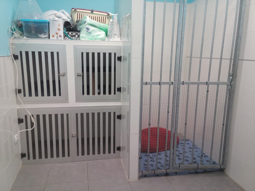 Clinica Veterinaria Santander — Del propietario