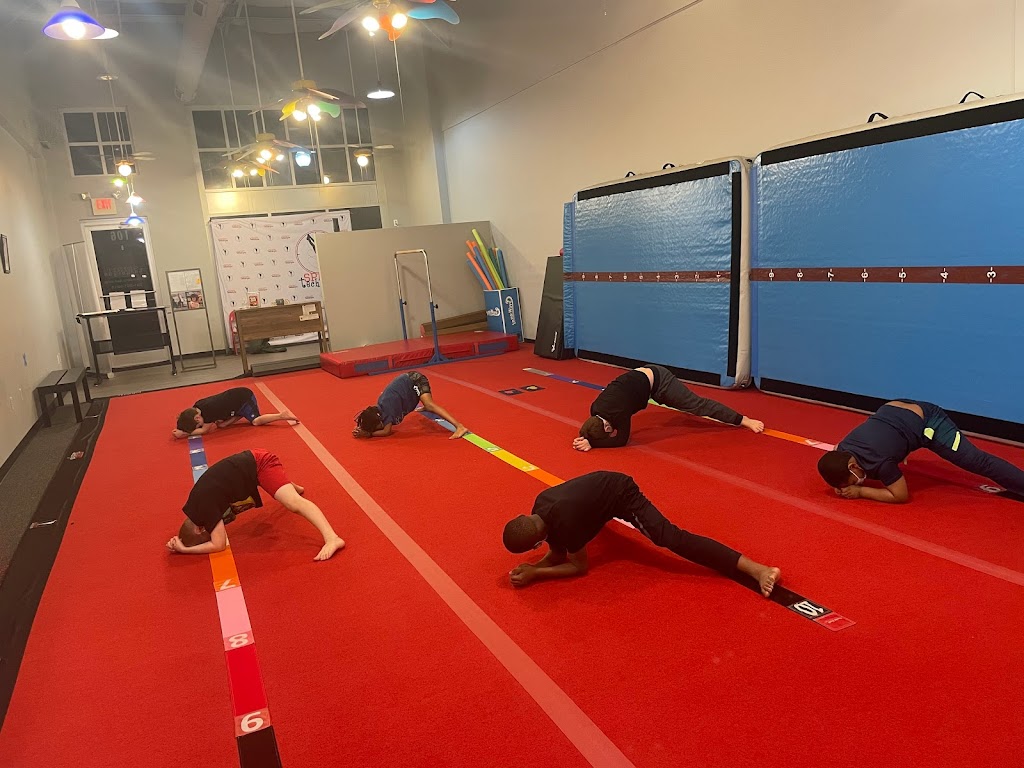  Spirit Technique, LLC