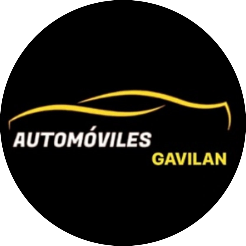 Taller automoviles gavilan — Mas recientes
