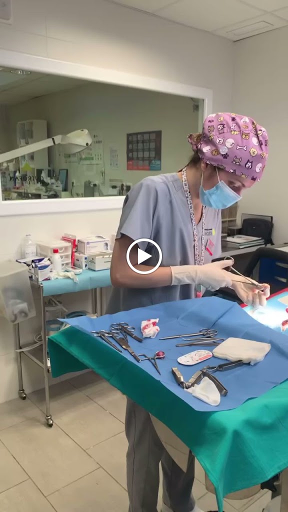 Centre Veterinari Ocata — Del propietario