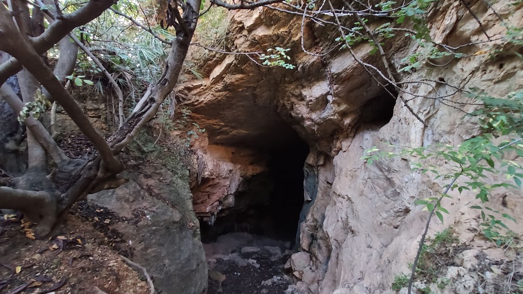 Cueva del Colom