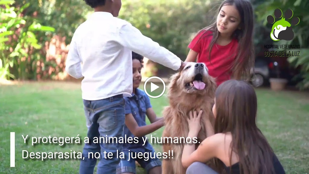 Hospital Veterinario Costa de la Luz — Del propietario
