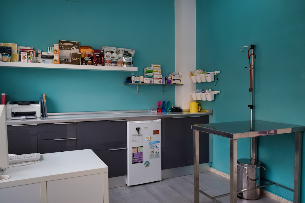 Clinica Veterinaria | San Jose de la rinconada | Canbello — Del propietario