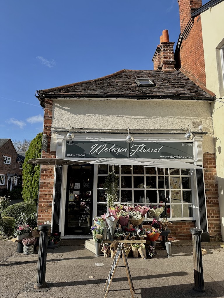 Welwyn Florist