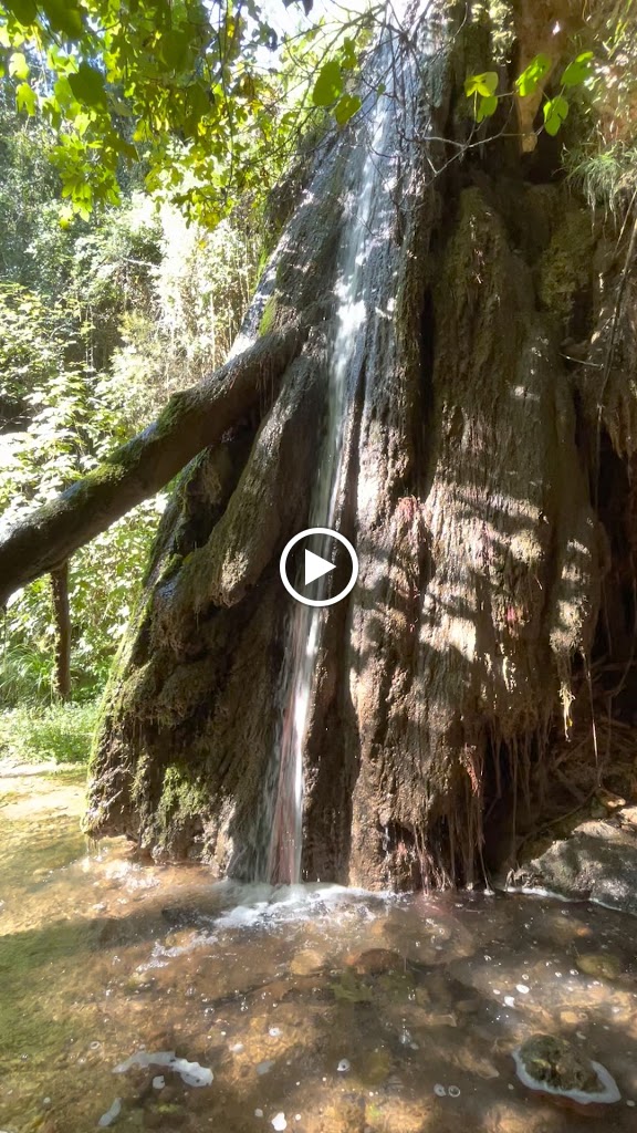 Les Flandes — Videos